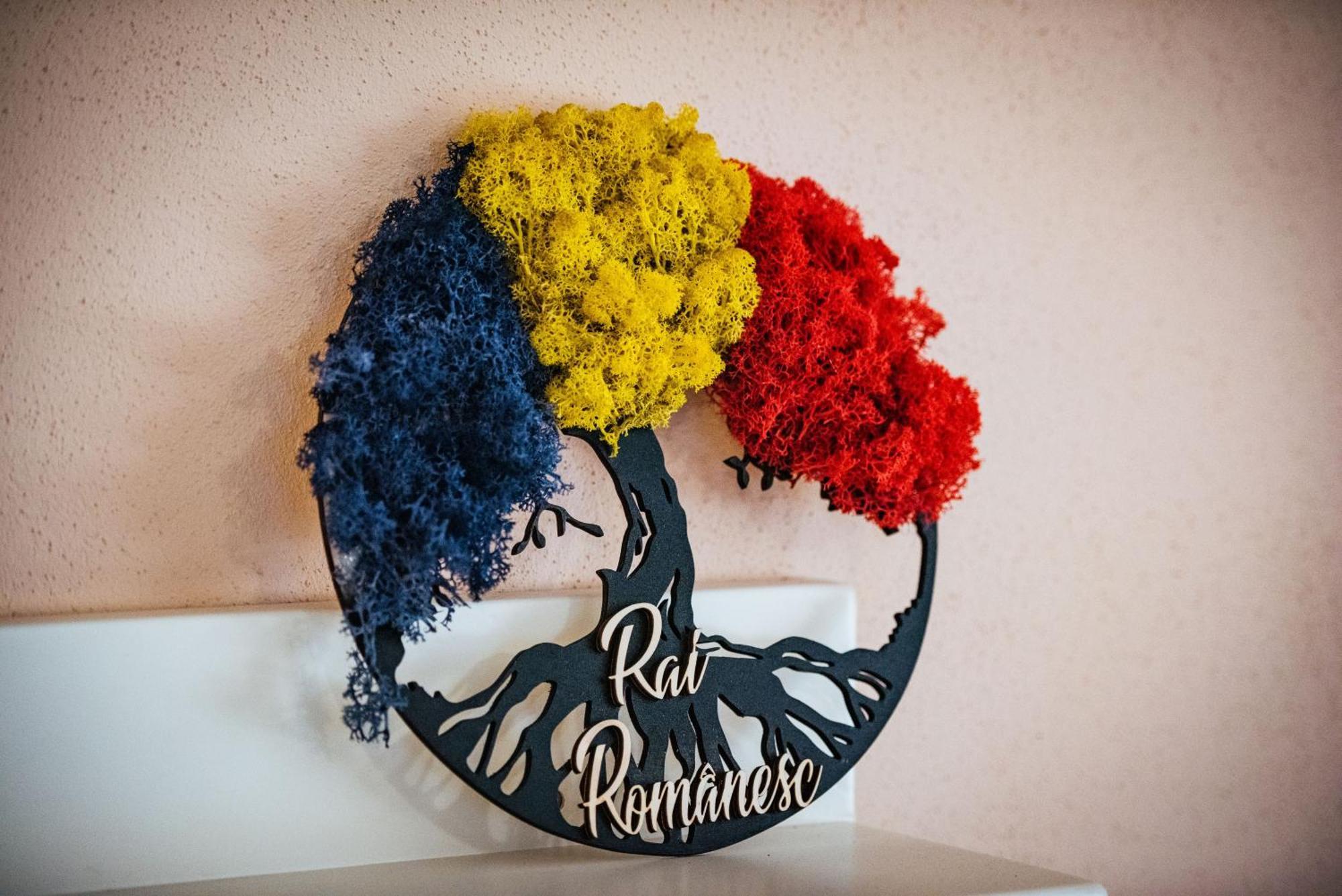 Rai Romanesc Сэлиште Экстерьер фото